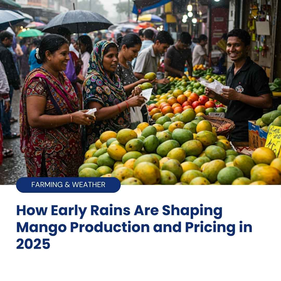 Early Monsoon Effects on Mango Cultivation and Market Dynamics